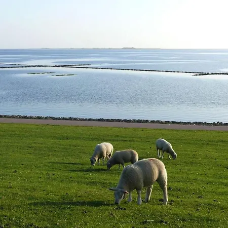 Hooge In The Haus Halligblick