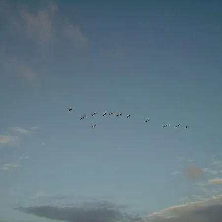 Hooge In The Haus Halligblick Casa de Férias