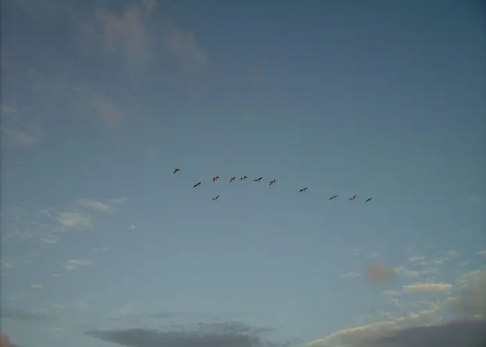 Hooge In The Haus Halligblick Vakantiehuis